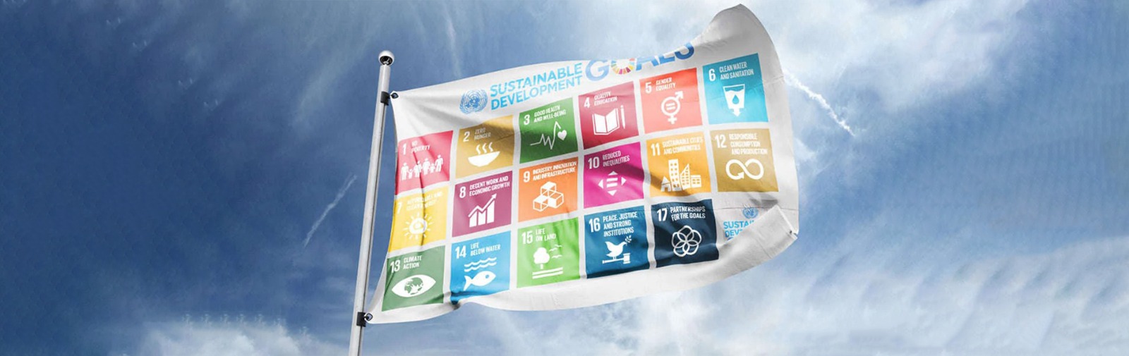 Sustainability development goals